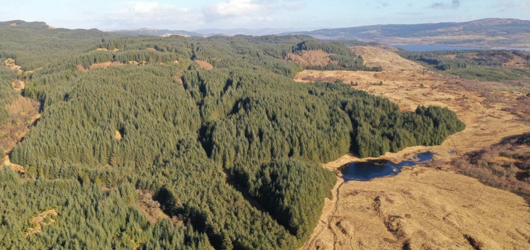 Goldcrest Land & Forestry Group | Head for the hills – the forester’s appetite for upland farms