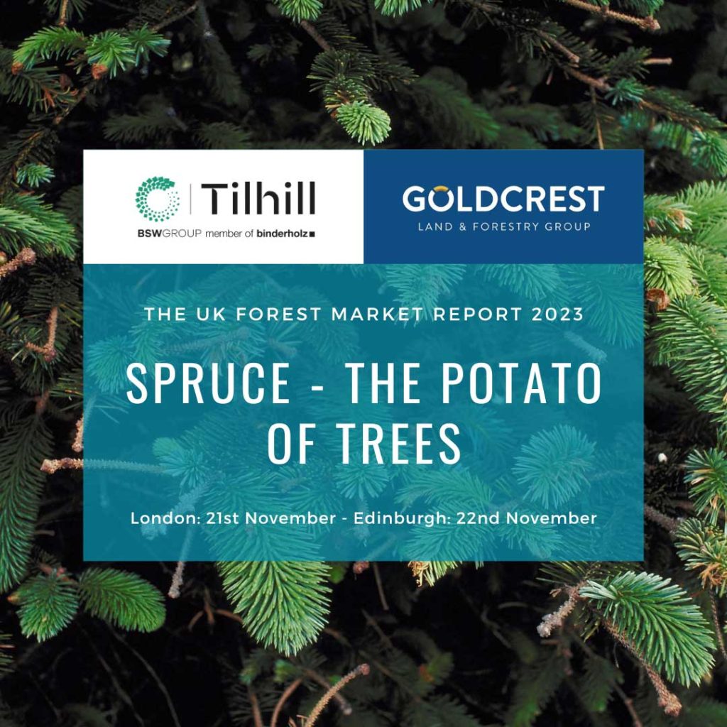 Tilhill & Goldcrest | The UK Forest Market Report 2023 | Spruce - The Potato of Trees | London, 21st November - Edinburgh, 22nd November
