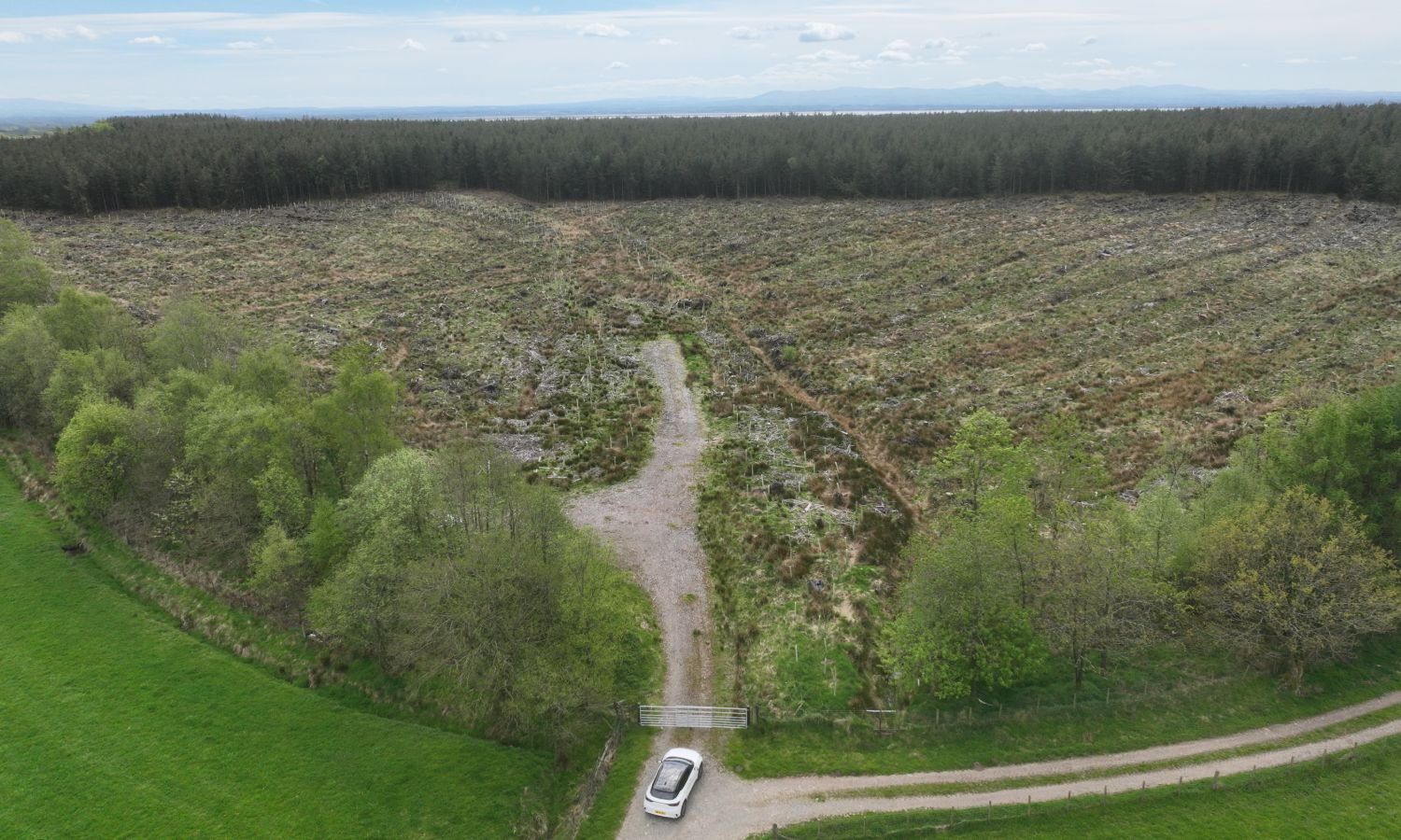 DJI_0748