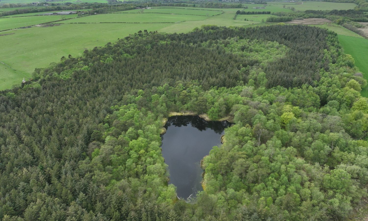 Gillshaw & Dummyrig Forest aerial view