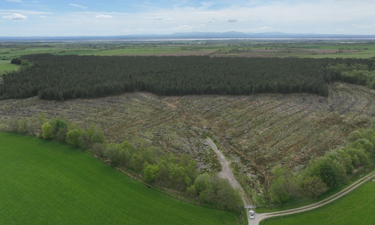DJI_0799