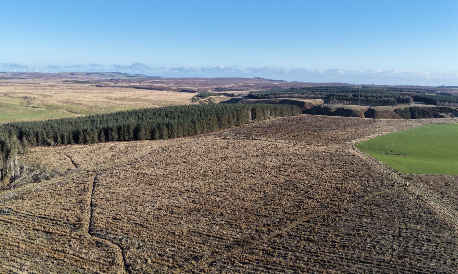 DJI_20260217104840_0069_D