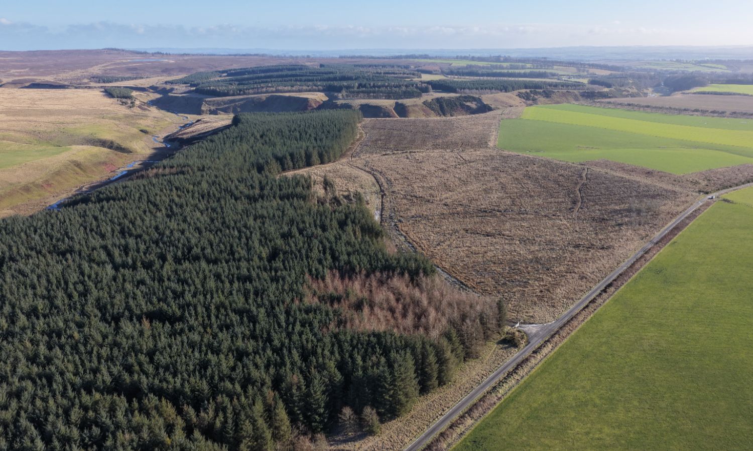 DJI_20260217104941_0073_D