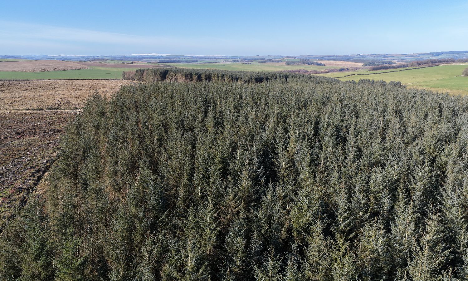 DJI_20260217105651_0115_D