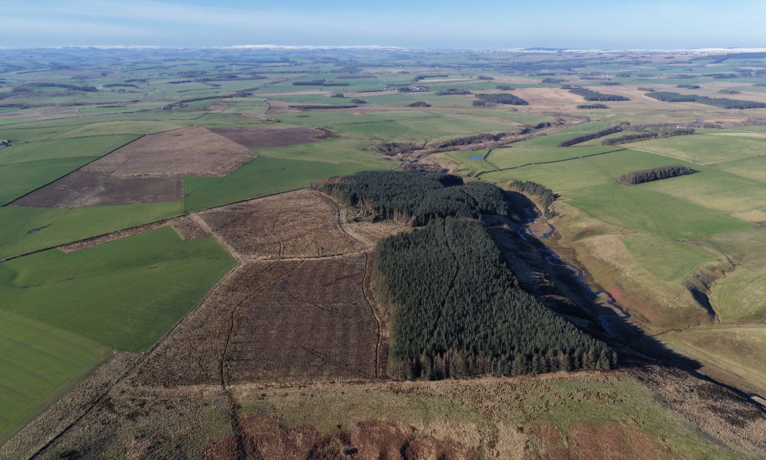 DJI_20260217105802_0126_D