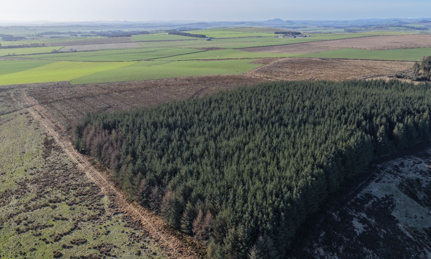 DJI_20260217110006_0144_D