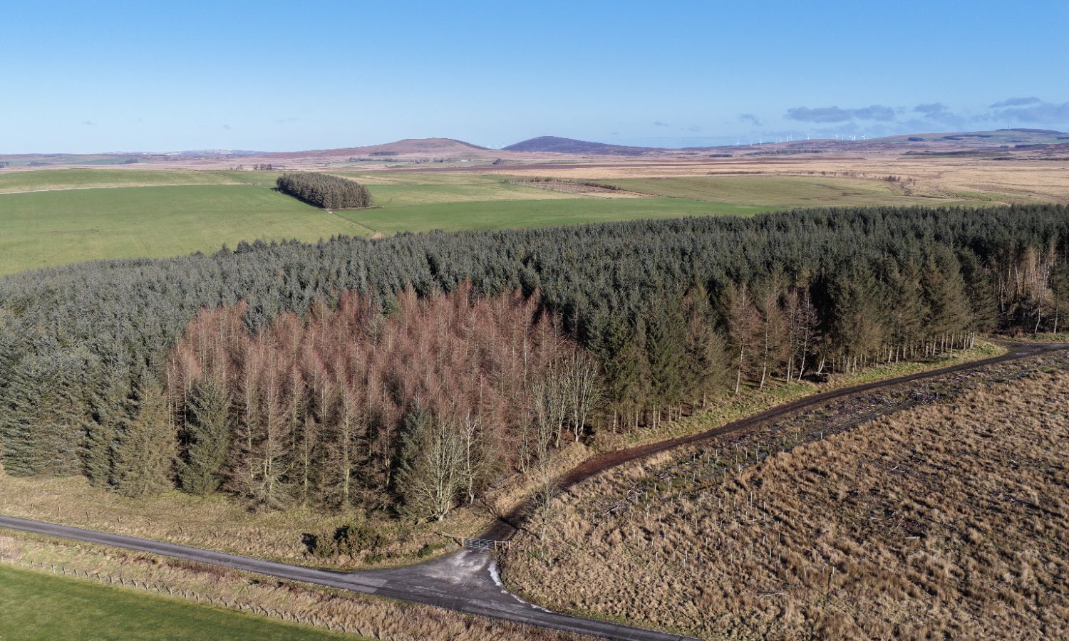 DJI_20260217110446_0166_D