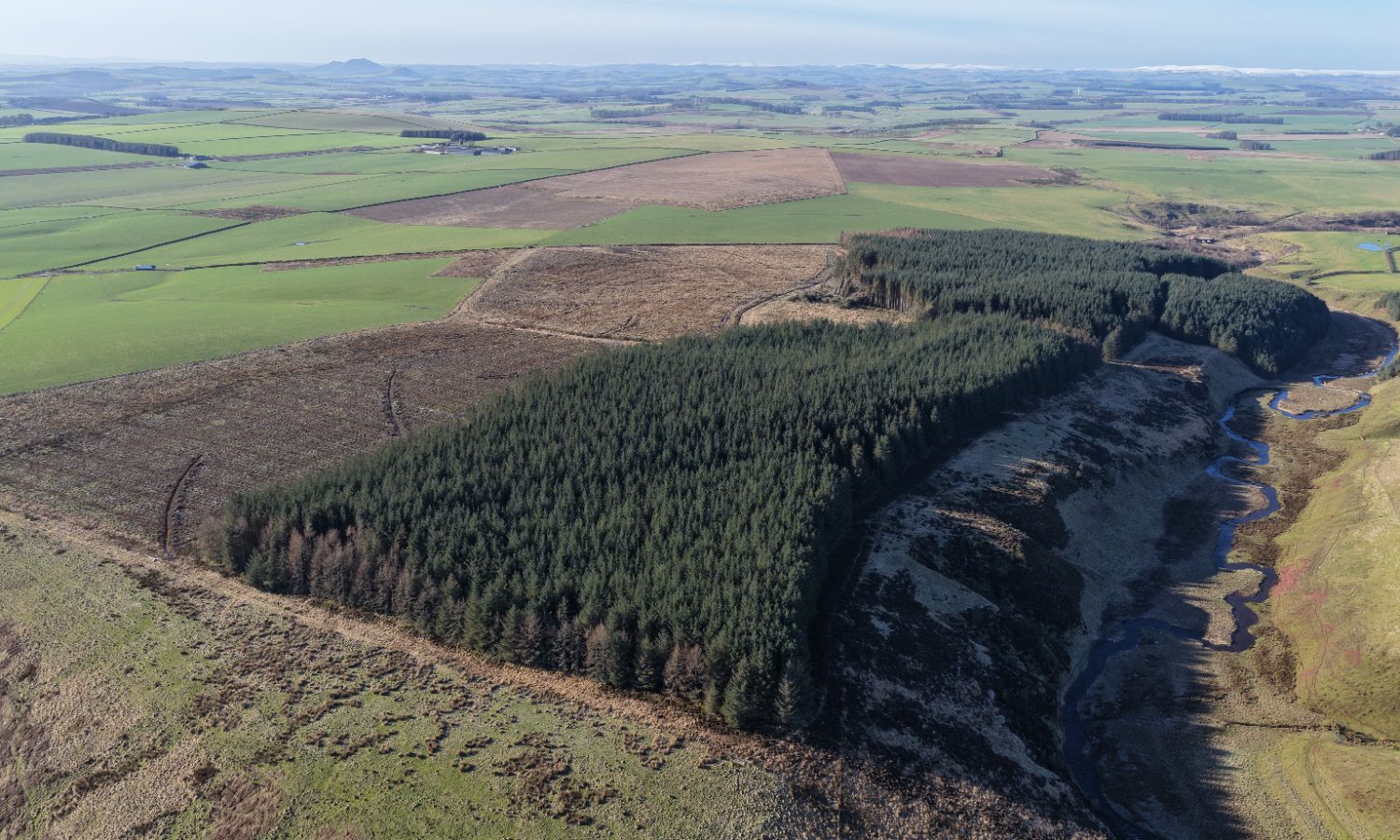 DJI_20260217110700_0180_D