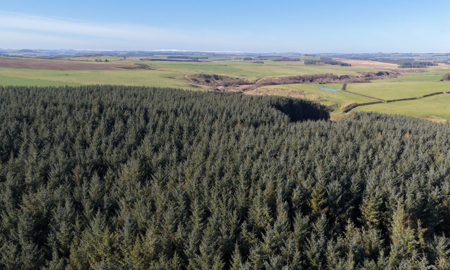 DJI_20260217111009_0194_D