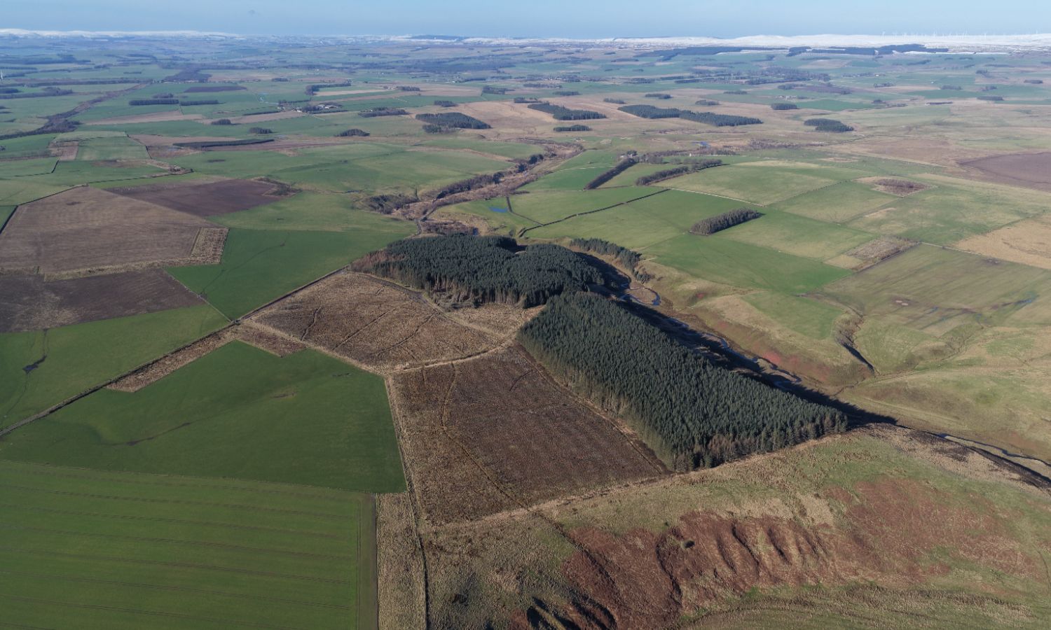 DJI_20260217111334_0209_D