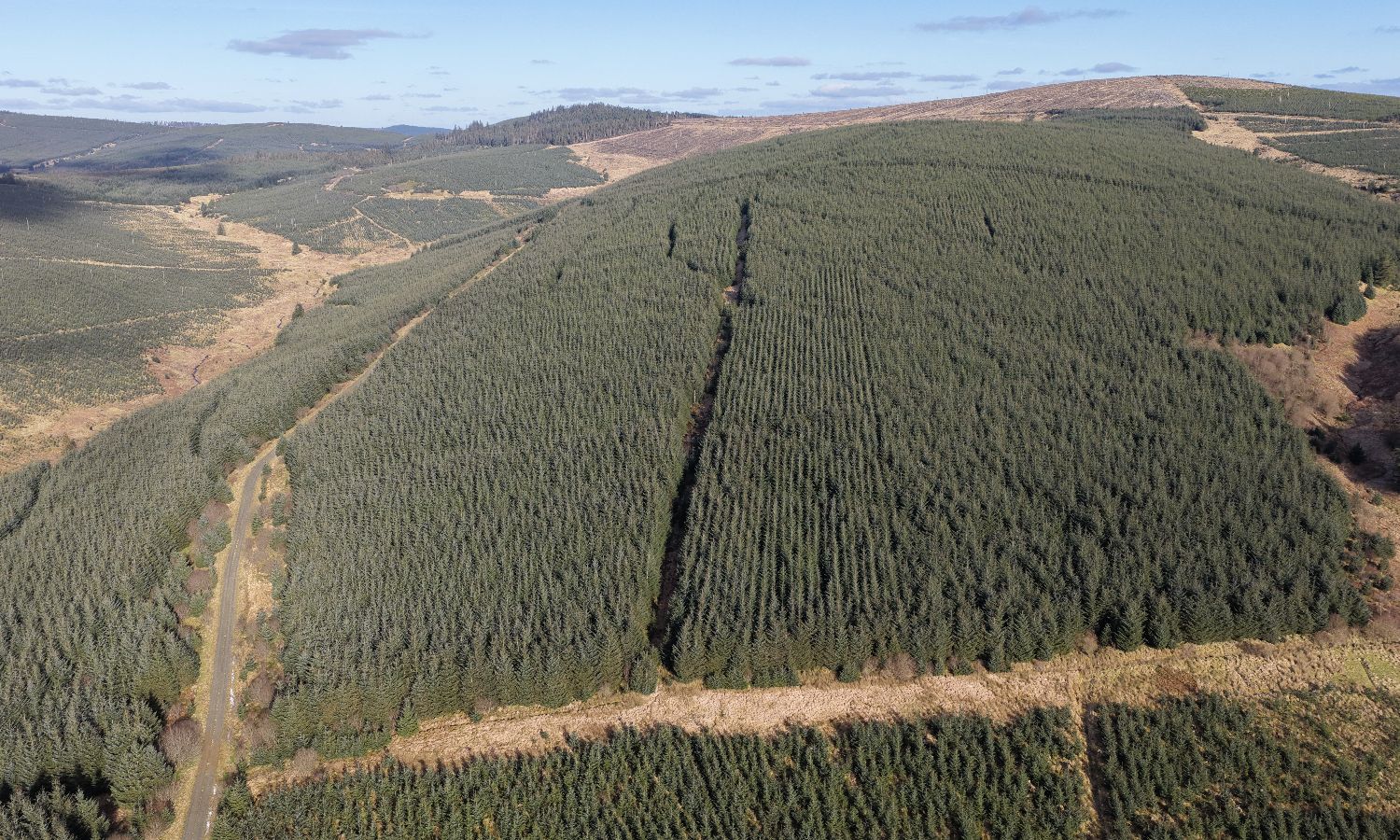 DJI_20260217135915_0231_D