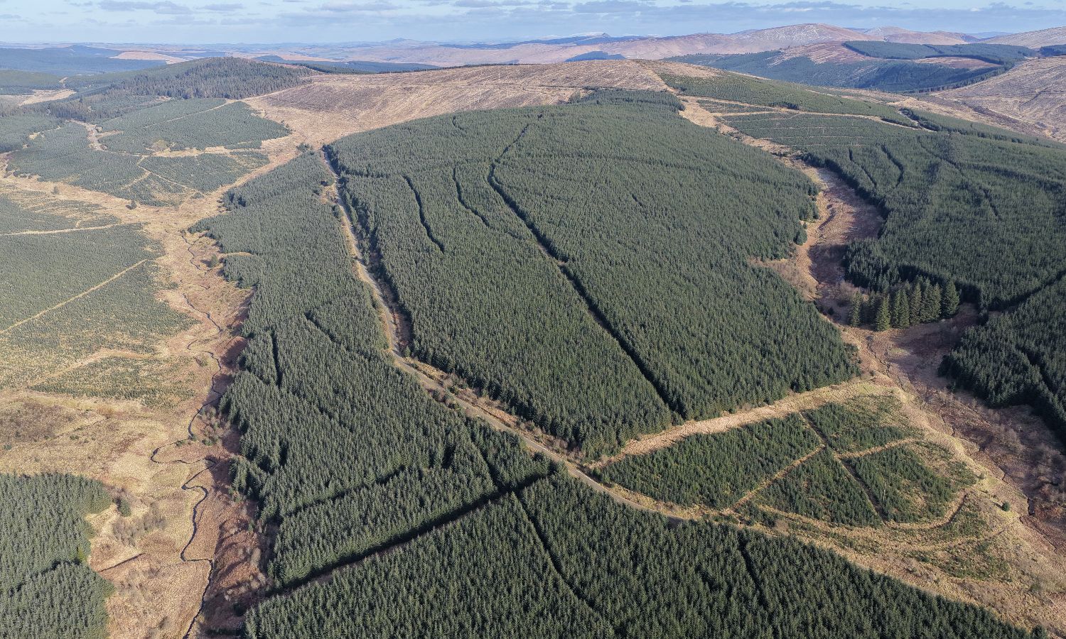 DJI_20260217135952_0236_D