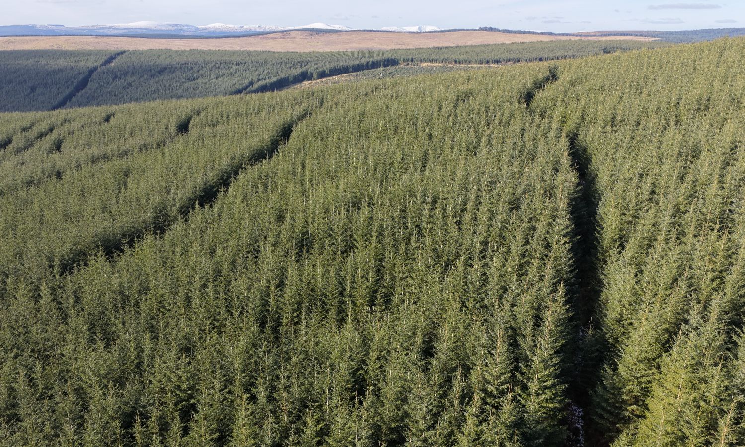 DJI_20260217140305_0257_D