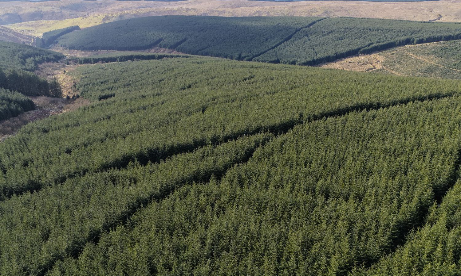 DJI_20260217140340_0261_D