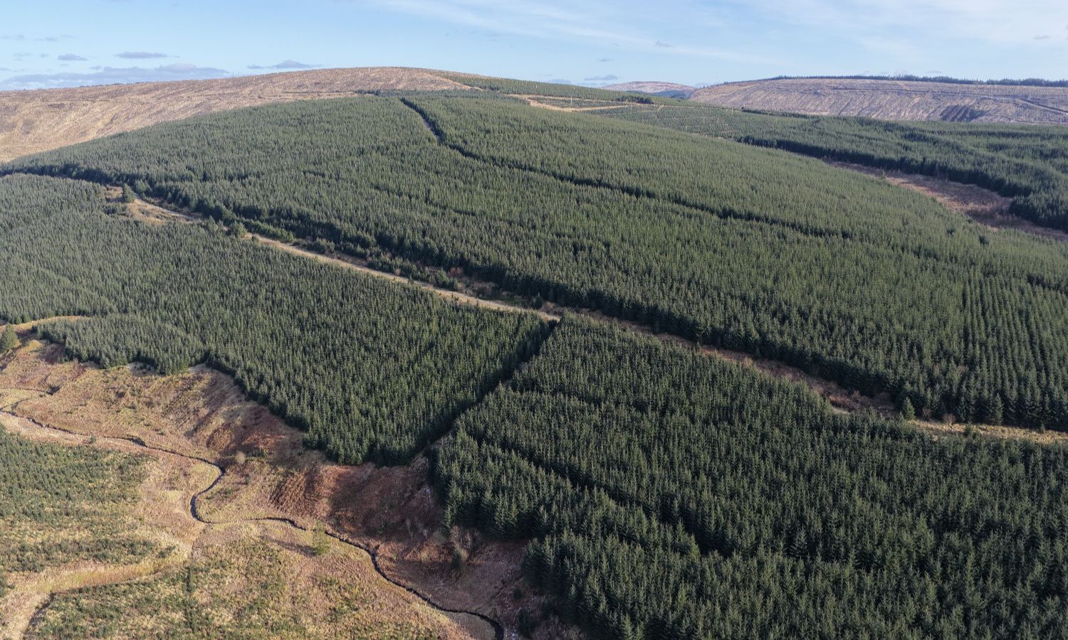 DJI_20260217140532_0268_D