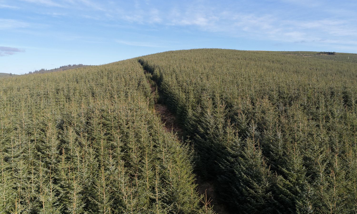 DJI_20260217140743_0280_D