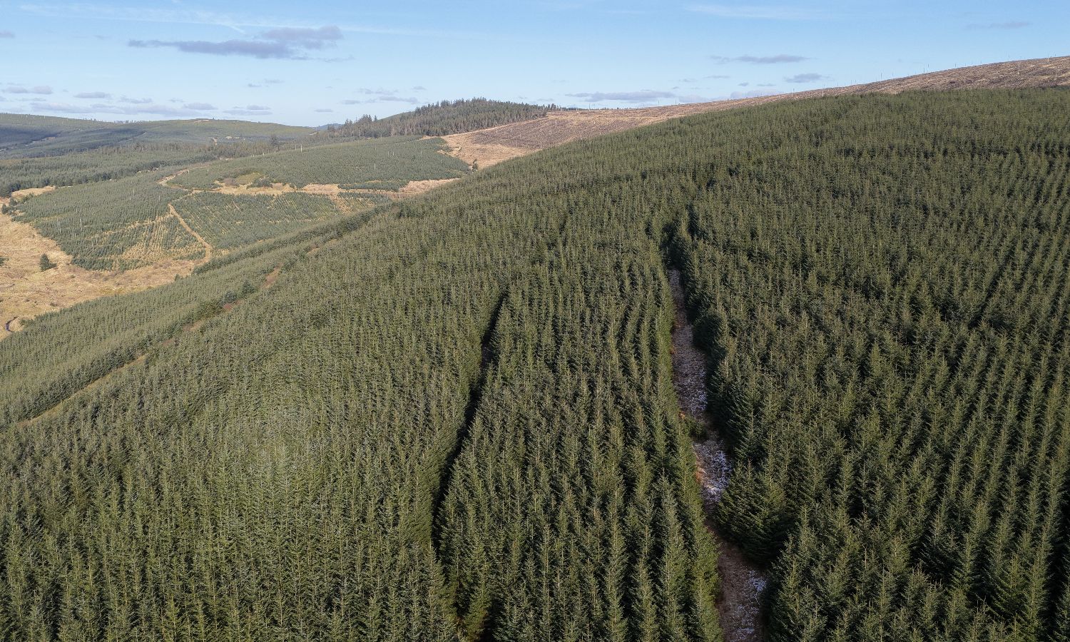 DJI_20260217141015_0293_D