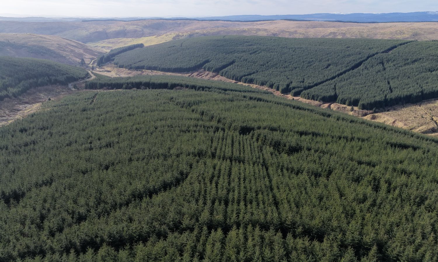 DJI_20260217141116_0301_D