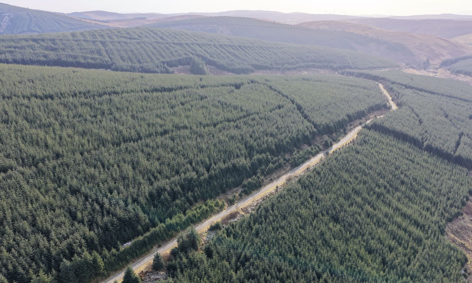 DJI_20260217141400_0309_D