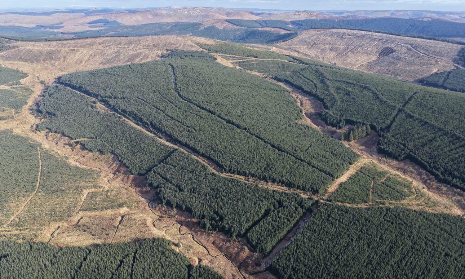 DJI_20260217141810_0324_D