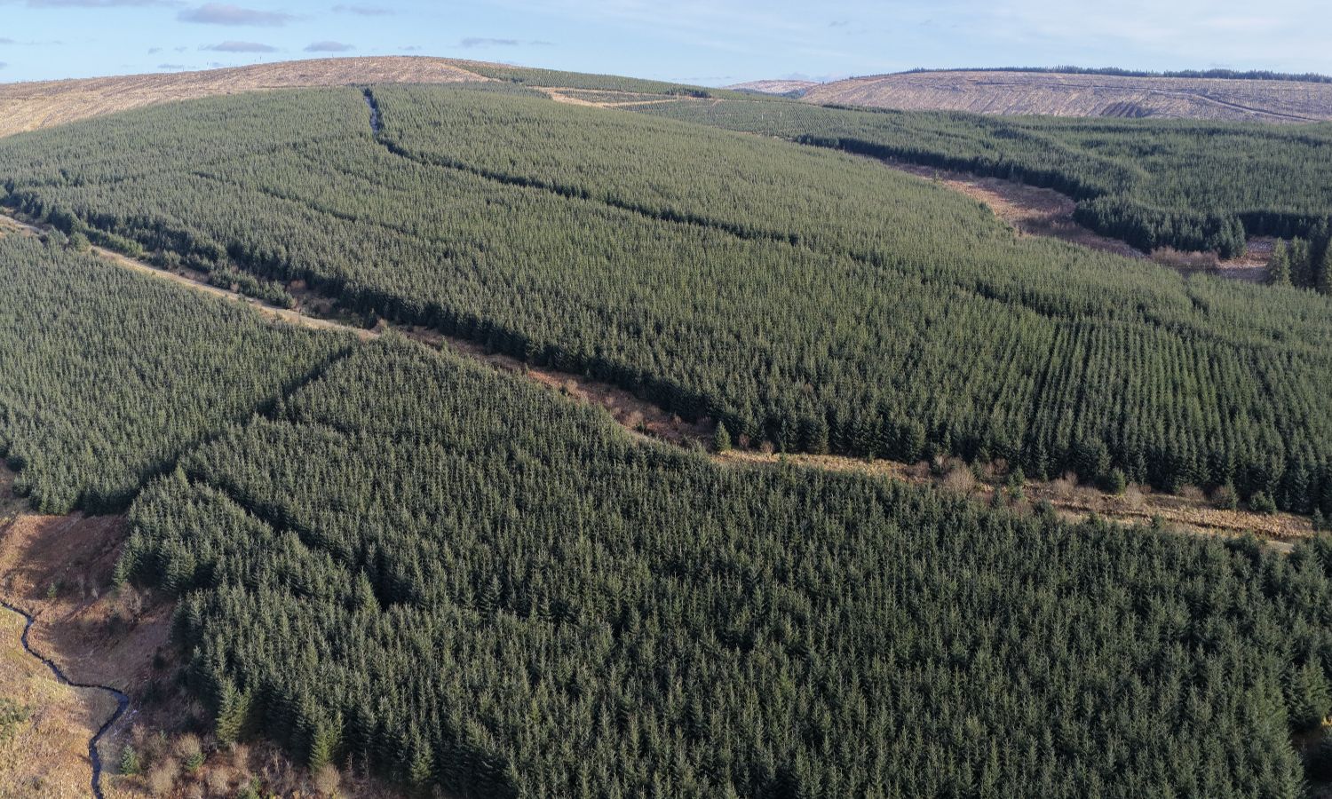 DJI_20260217141843_0327_D