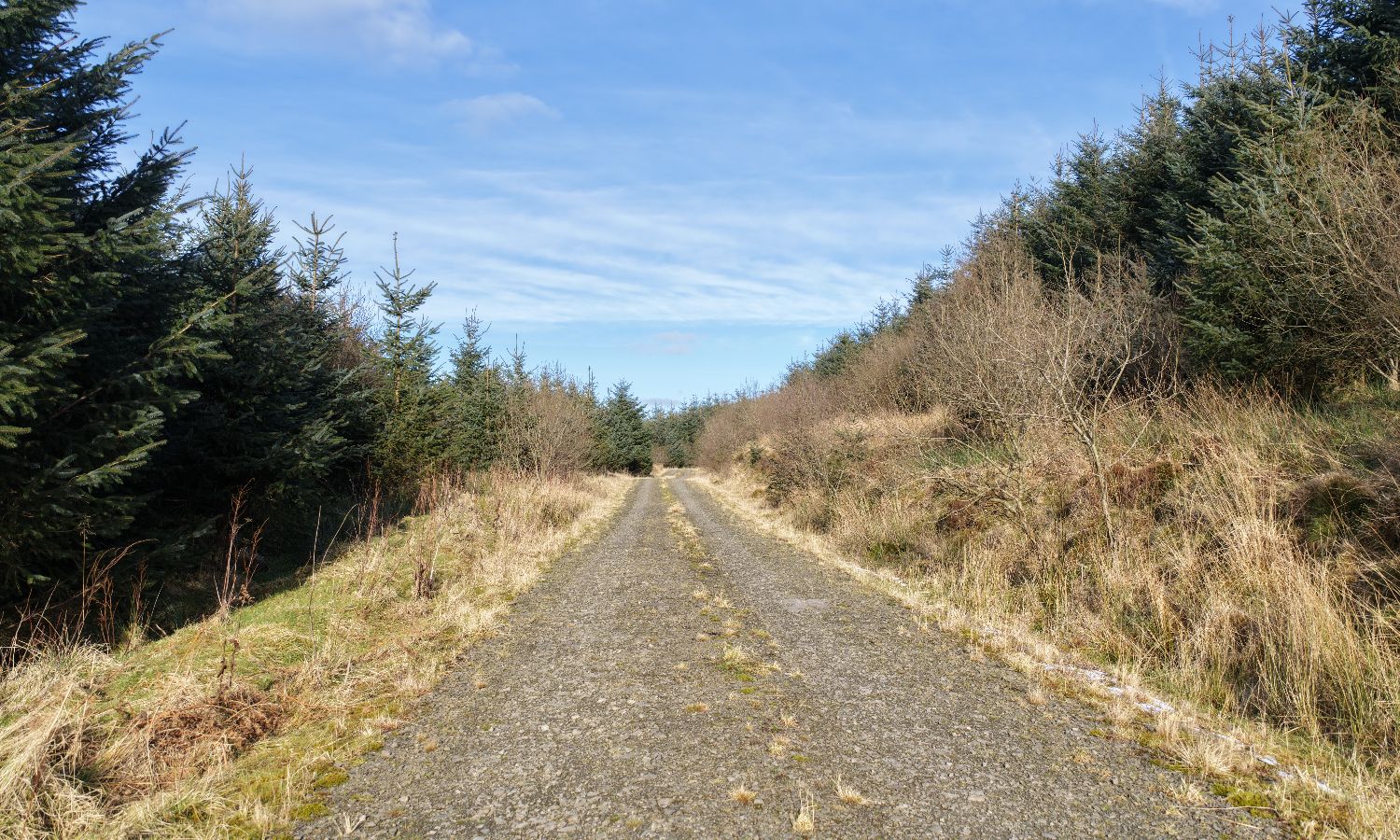 DJI_20260217141919_0336_D