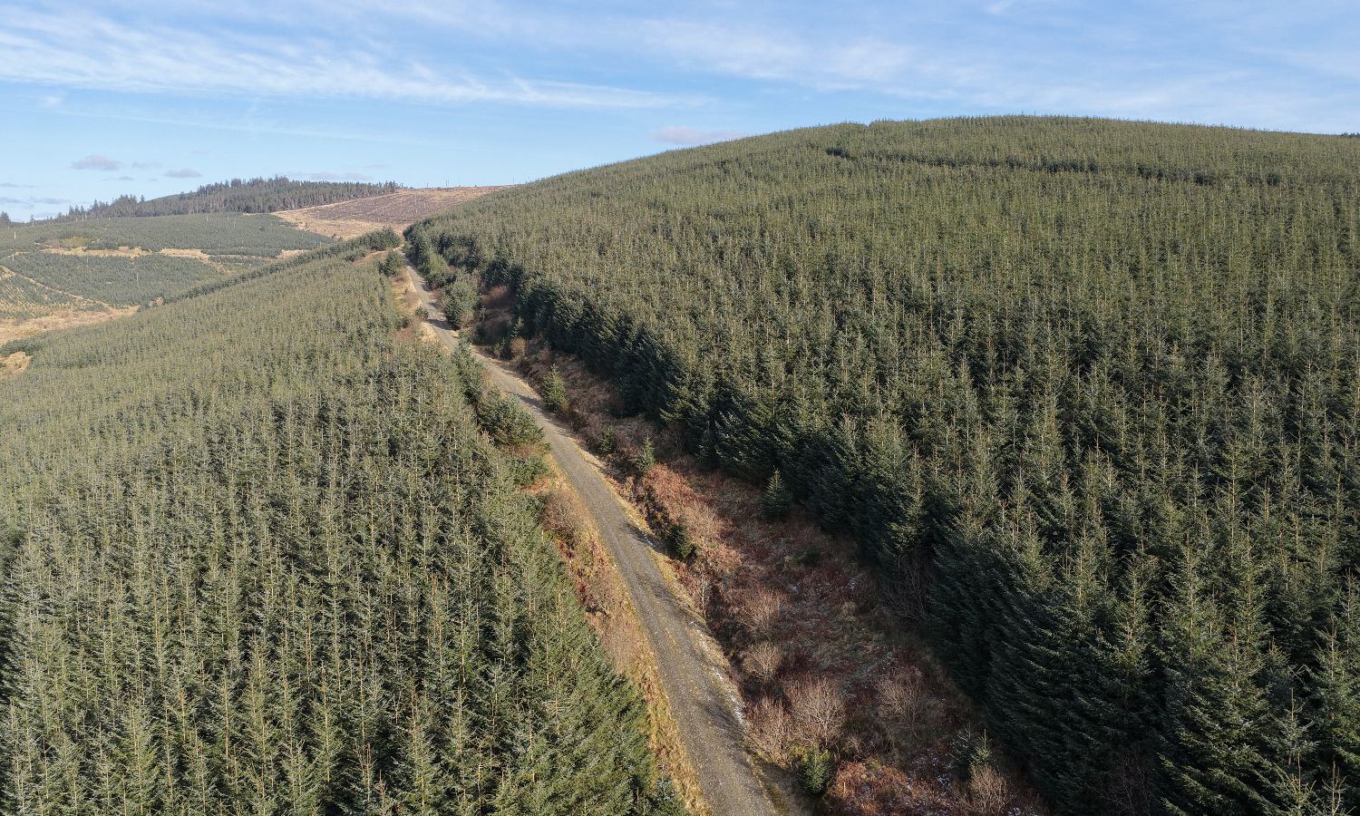 Braxwood Aerial View