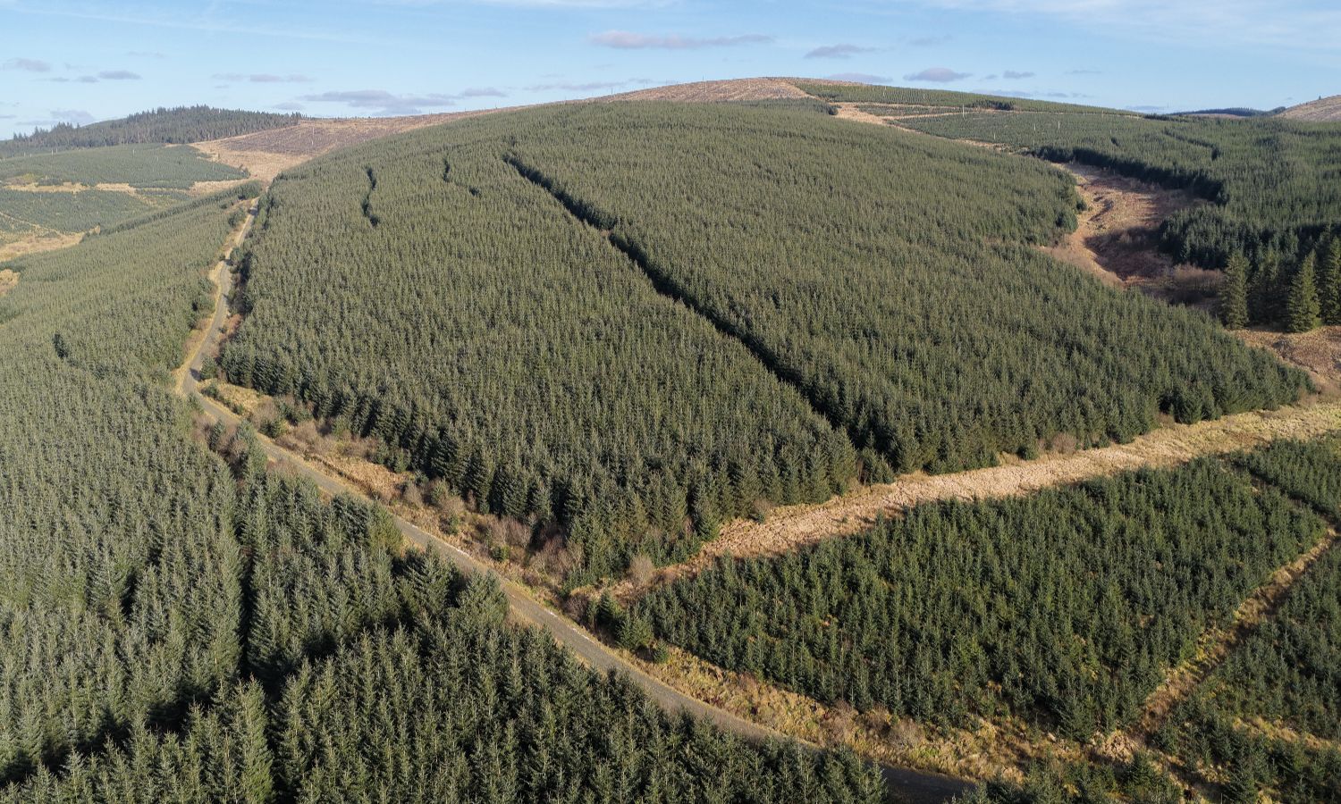 DJI_20260217142035_0349_D