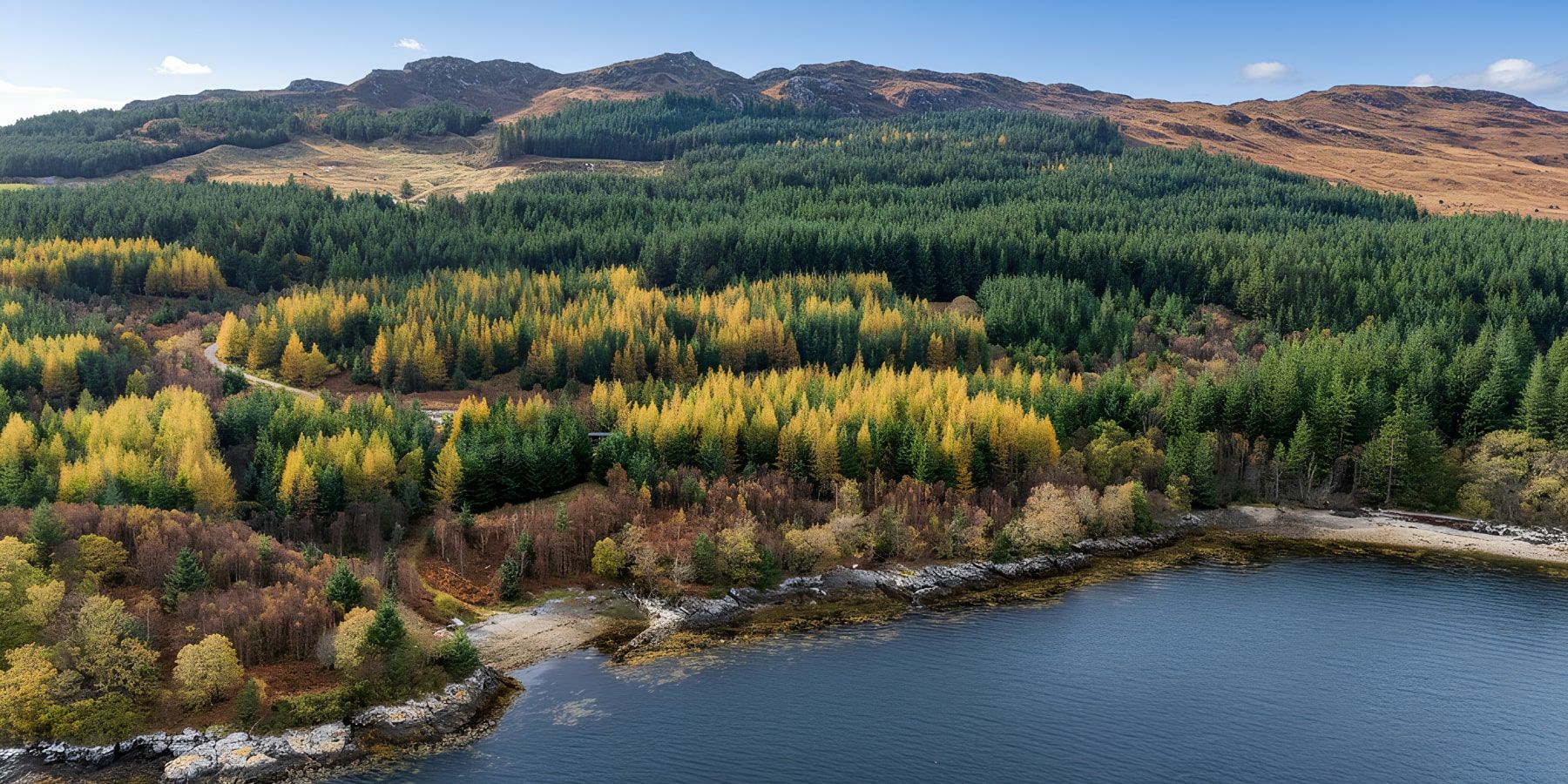 Generated Image November 03, 2025 - 4_44PM