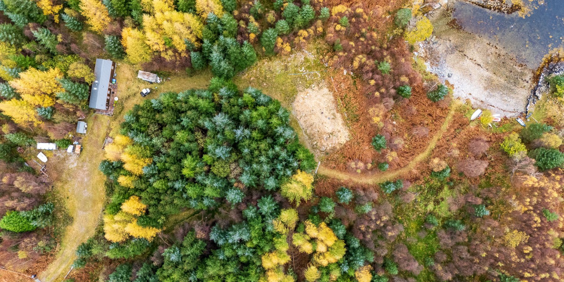 Goldcrest_20251031 (50)