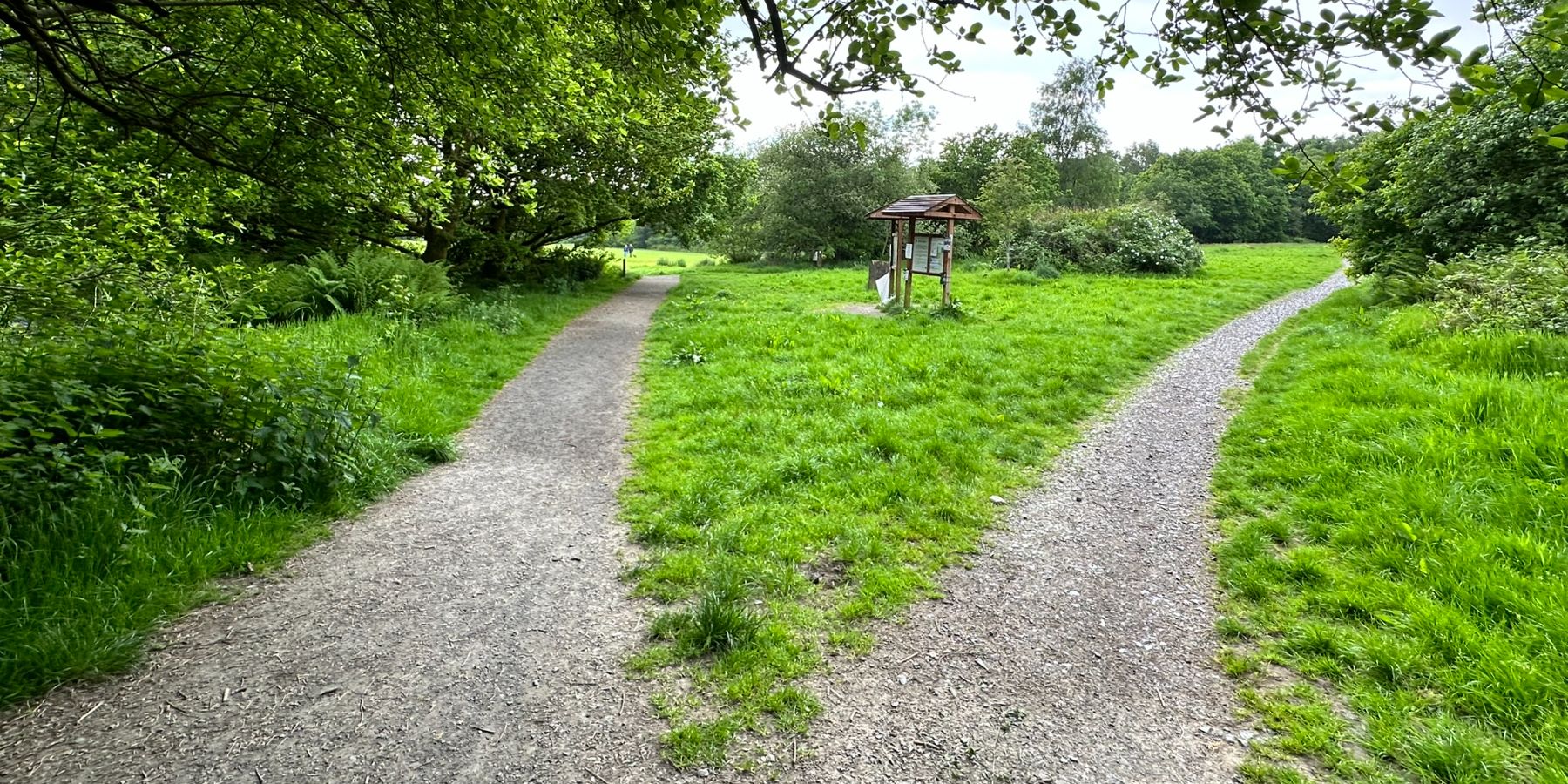 Duchess Wood — Paths on the property