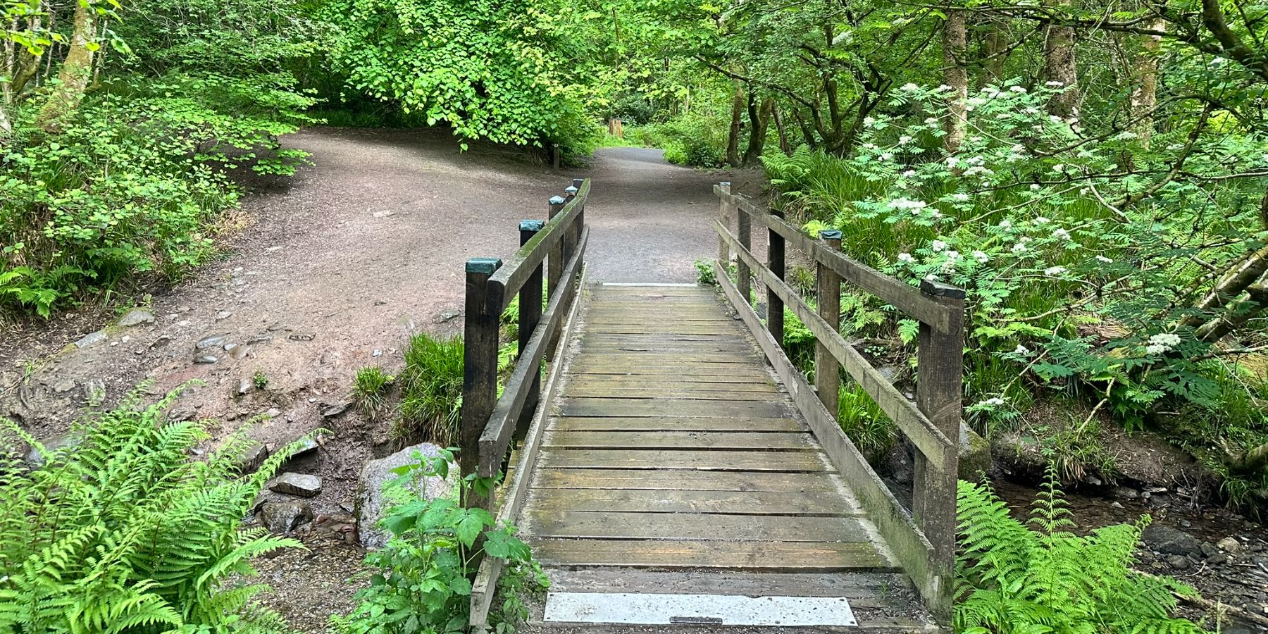 Duchess Wood — Footpath bridge