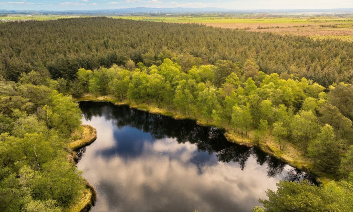 Gillshaw Wood - Aerial view of pond