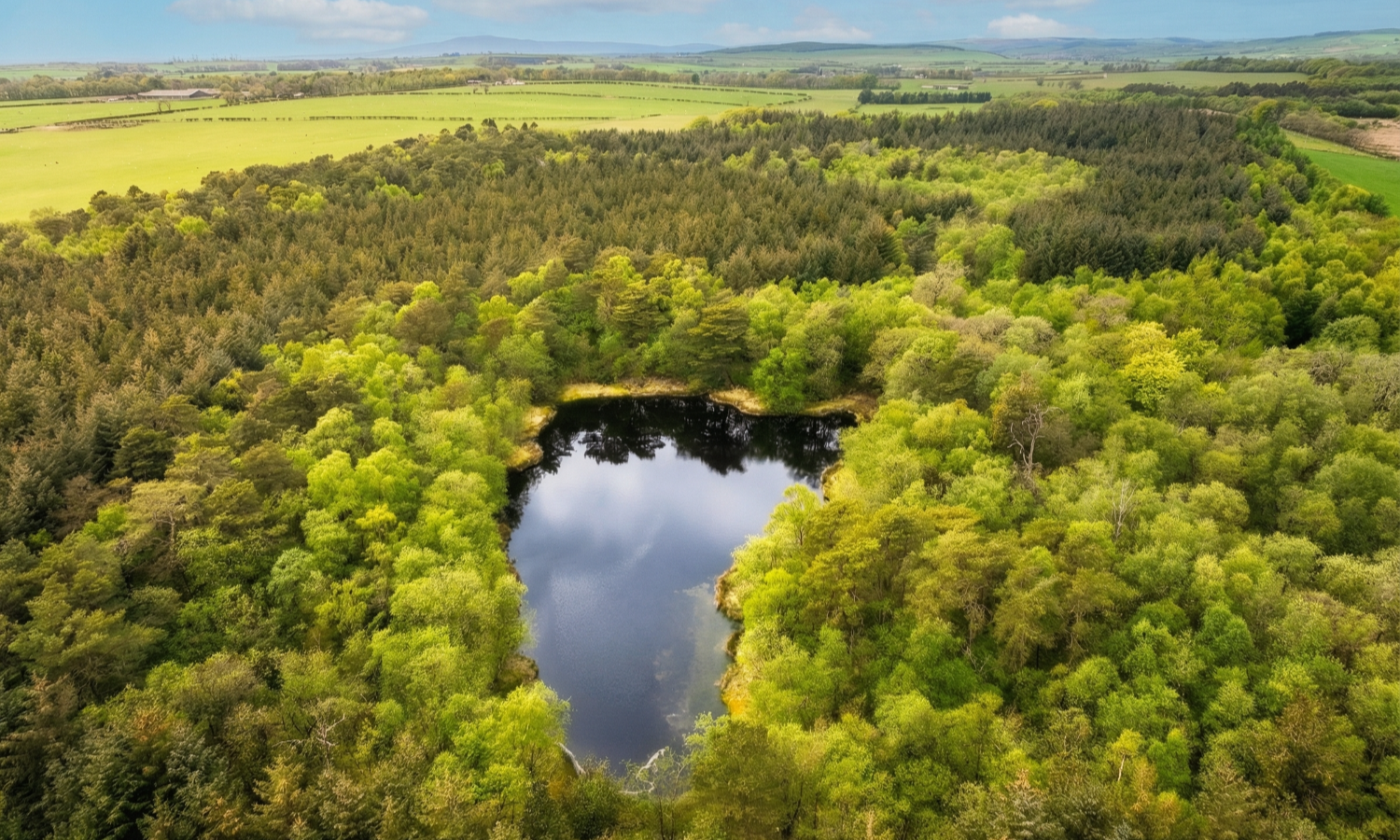 Gillshaw Wood - Aerial view of pond