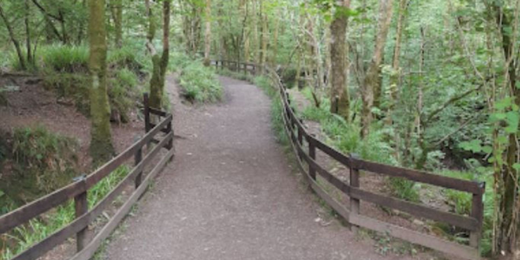 Duchess Wood - Footpath fencing detail