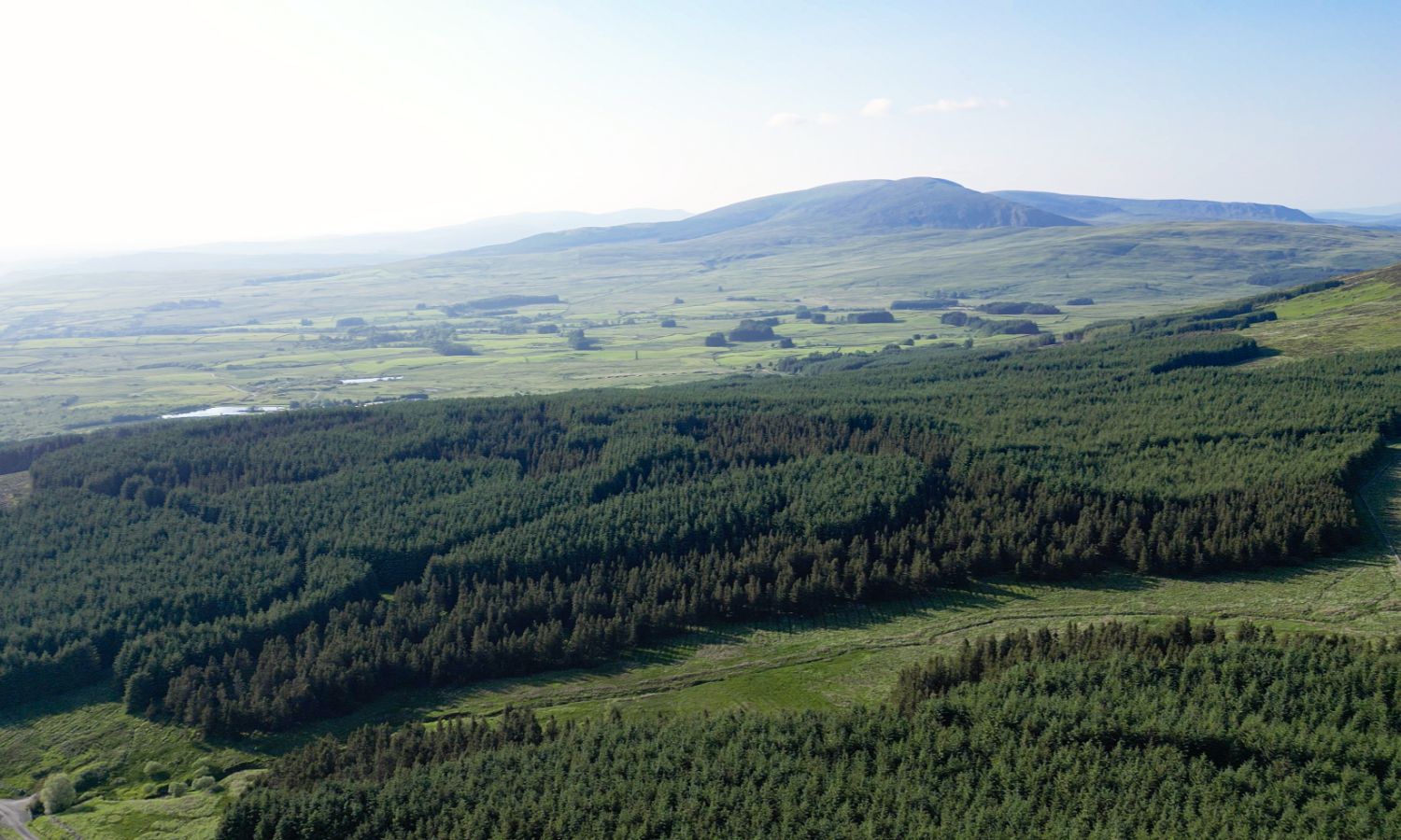 Glenquicken Forest - aerial view
