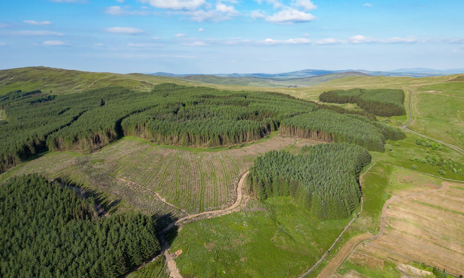 Glenquicken Forest - aerial view