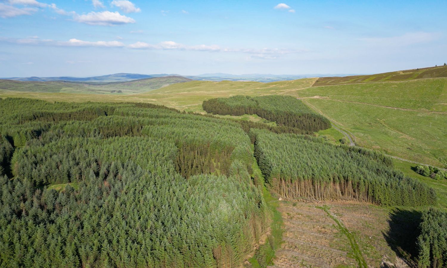 Glenquicken Forest - aerial view