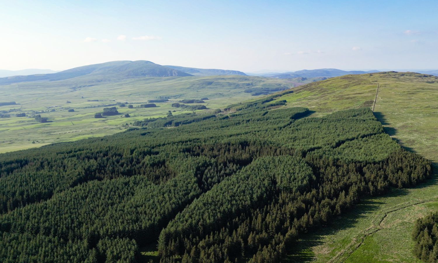 Glenquicken Forest - aerial view