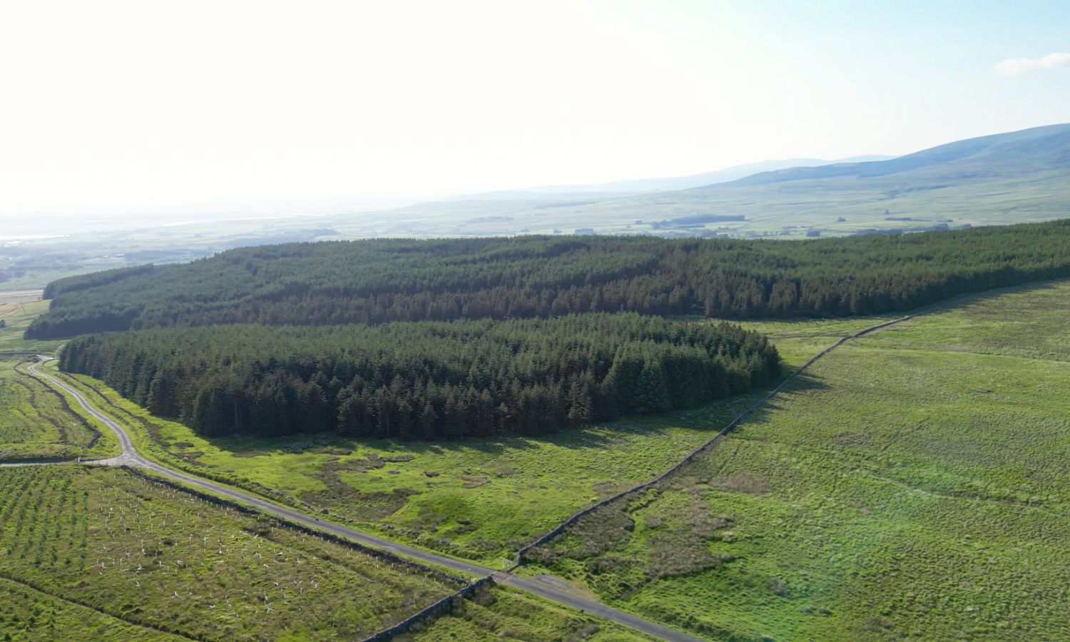 Glenquicken Forest - aerial view