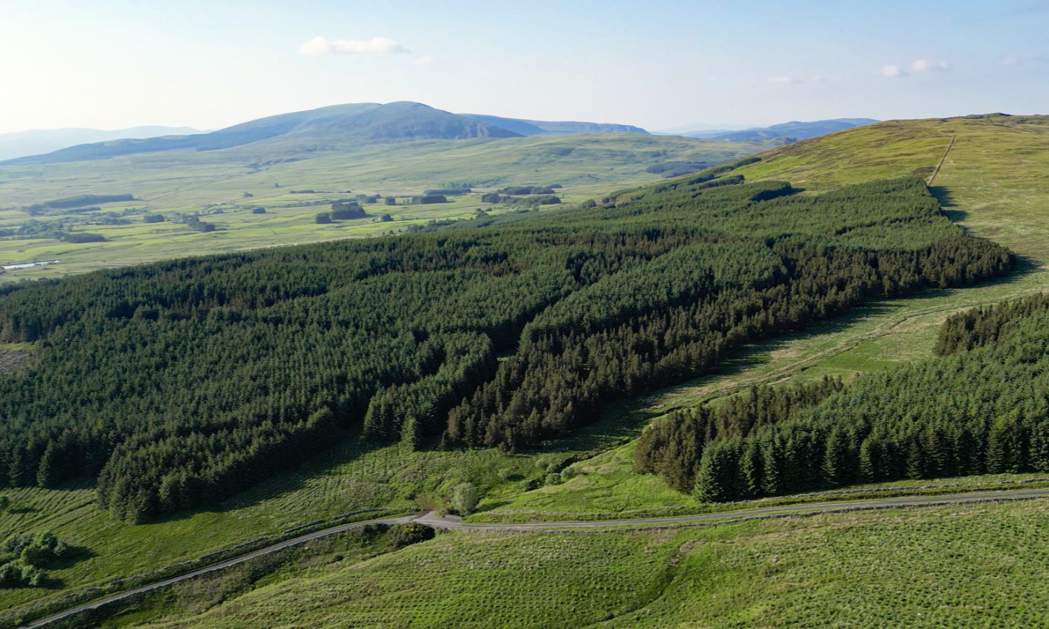 Glenquicken Forest - aerial view
