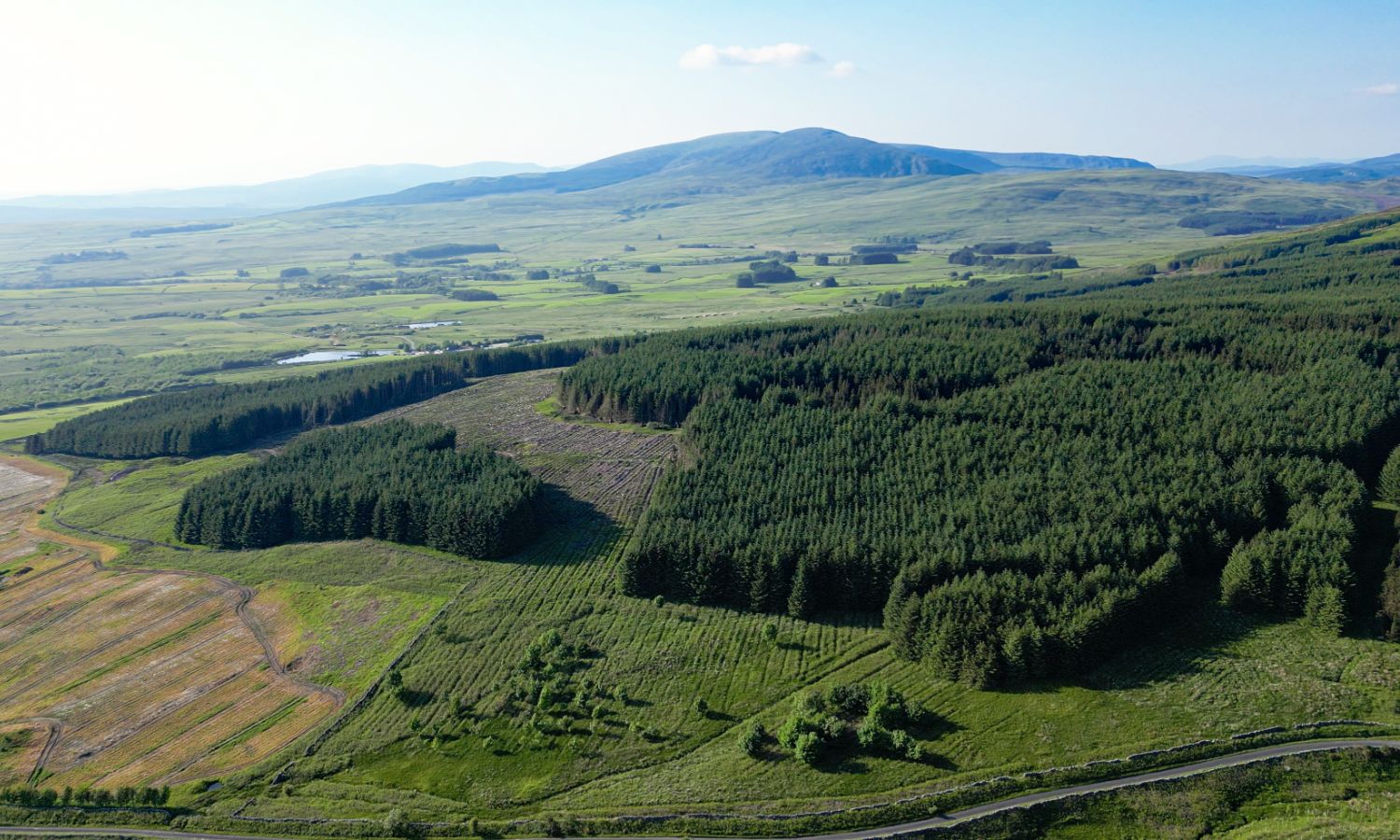 Glenquicken Forest - aerial view