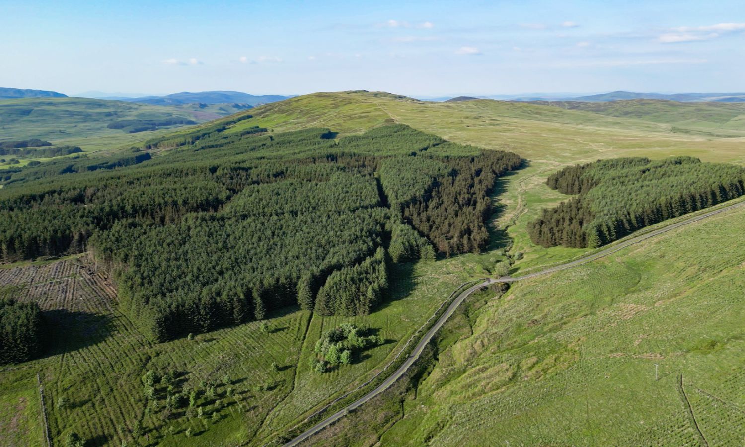 Glenquicken Forest - aerial view