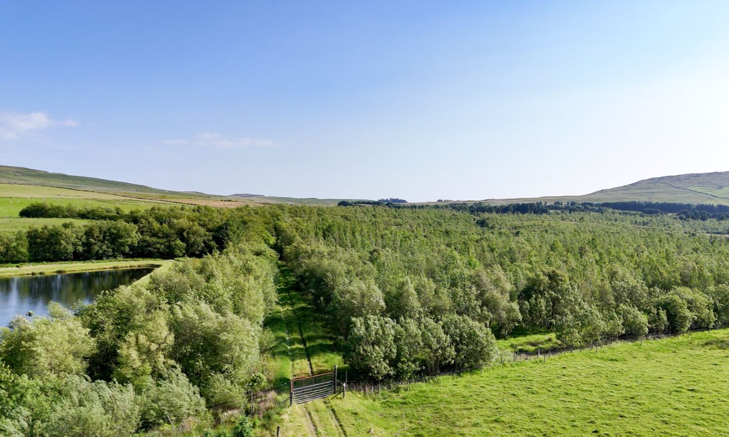 Glenquicken Forest - aerial view