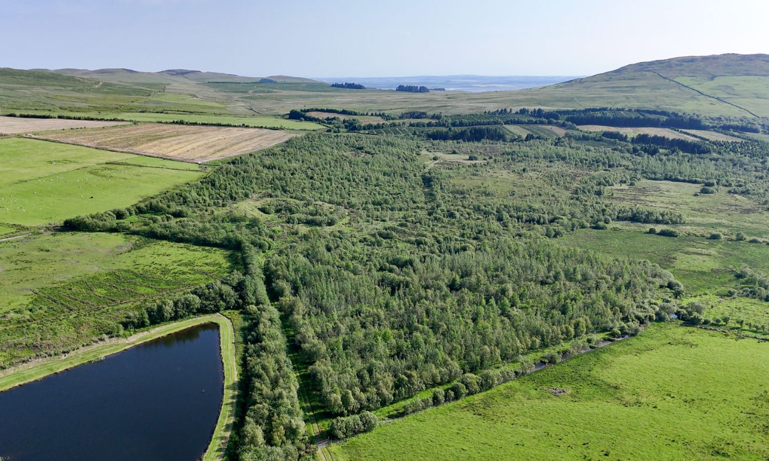 Glenquicken Forest - aerial view of pond