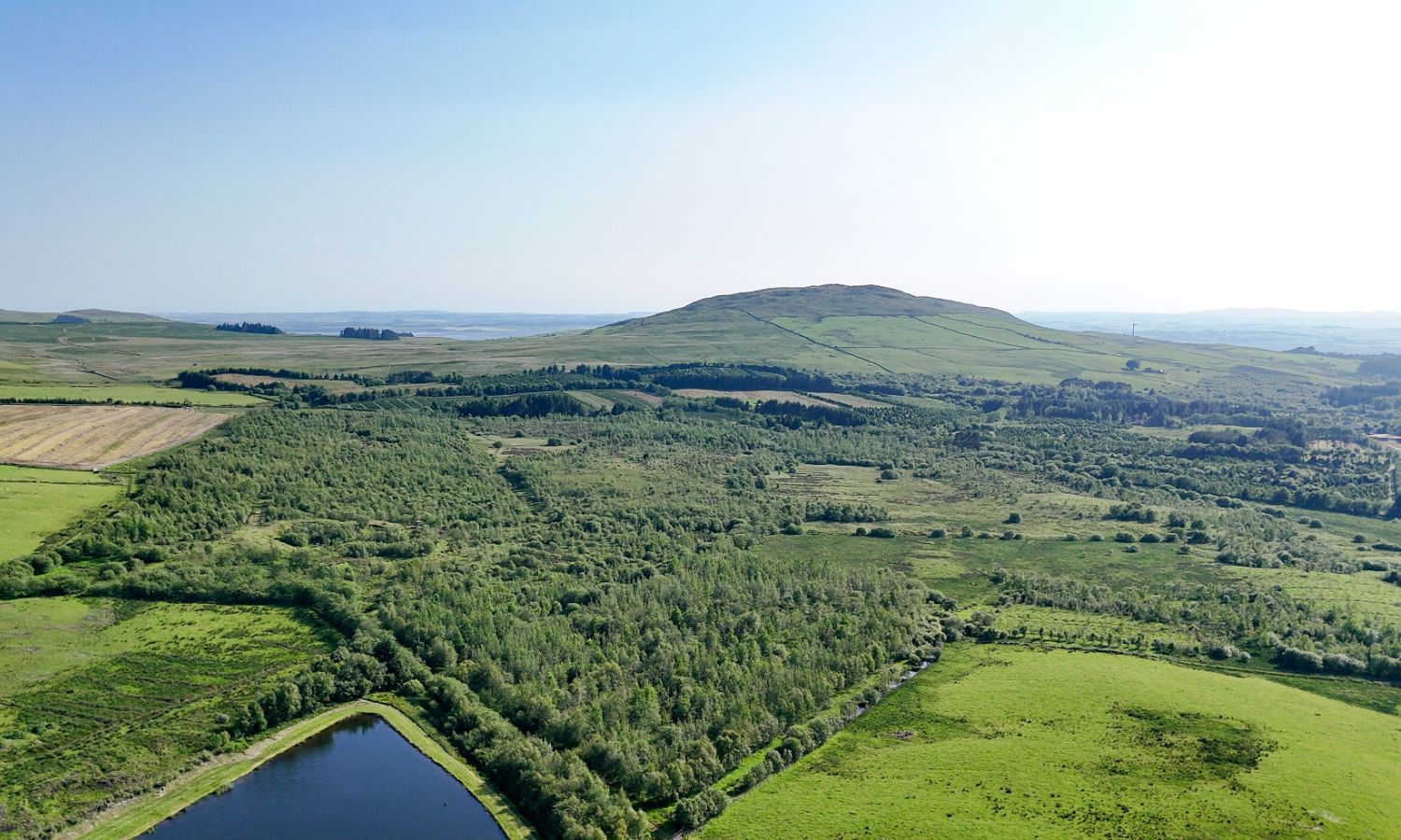 Glenquicken Forest - aerial view with pond