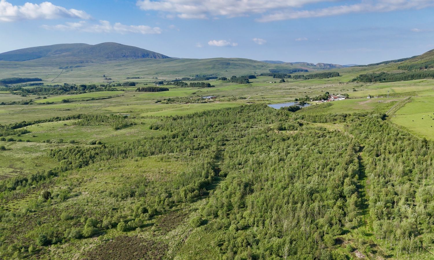Glenquicken Forest - aerial view