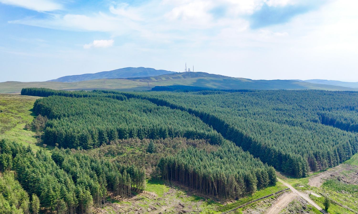 Glenquicken Forest - aerial view