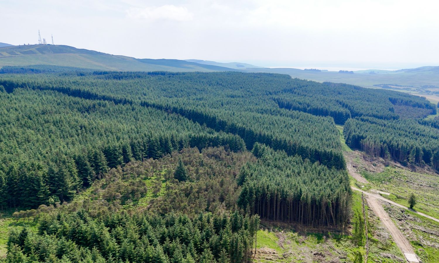 Glenquicken Forest - aerial view