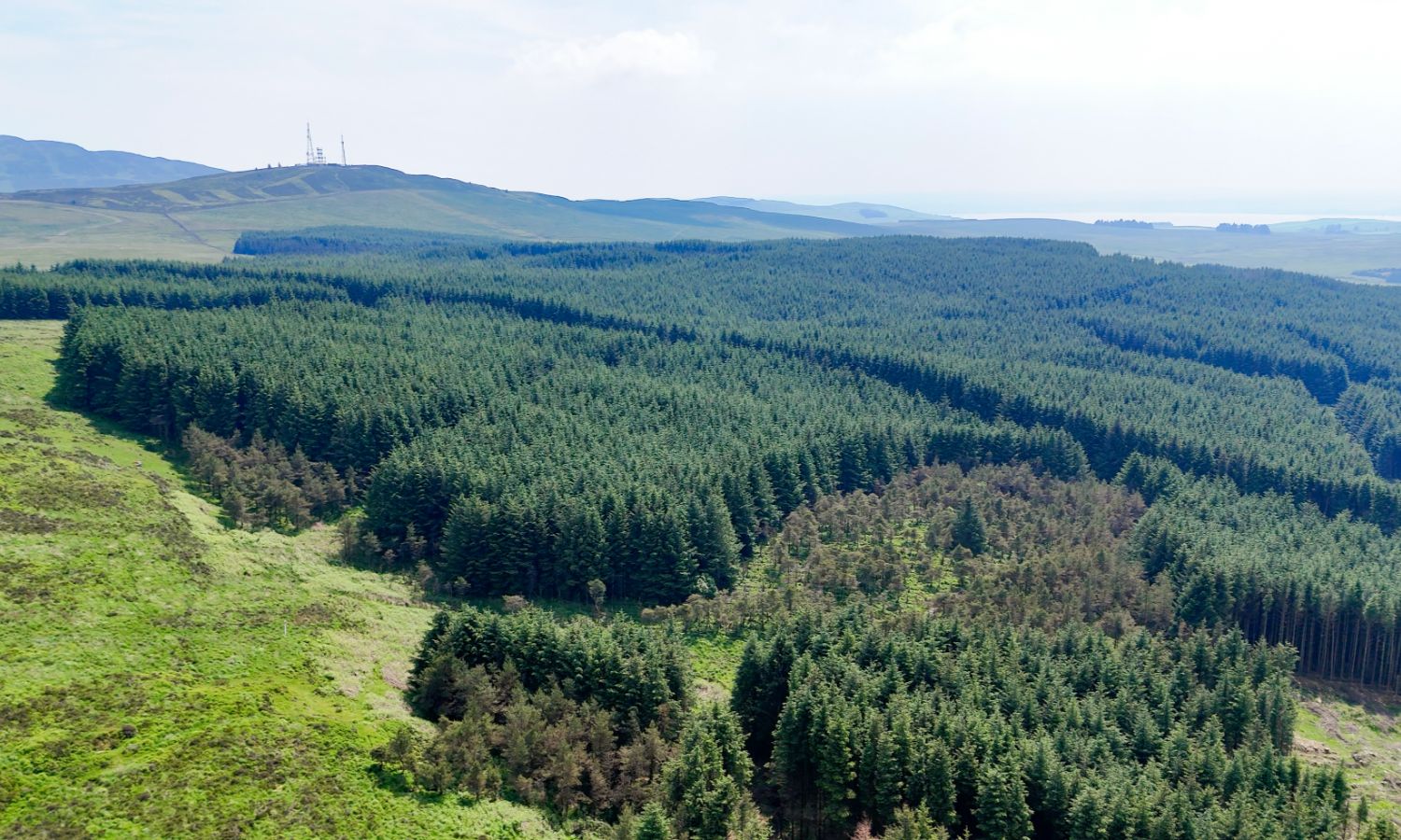 Glenquicken Forest - aerial view